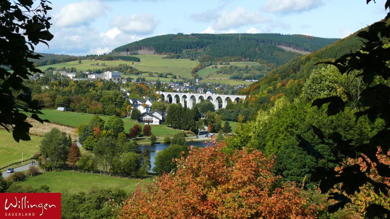 Villa Katharina Ferienwohnungen Willingen  Kültér fotó